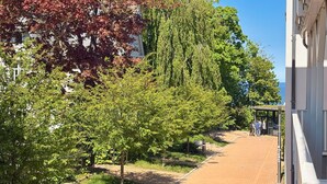Un chemin pavé bordé d’arbres, un bâtiment à la façade blanche et un ciel d’un bleu limpide.
