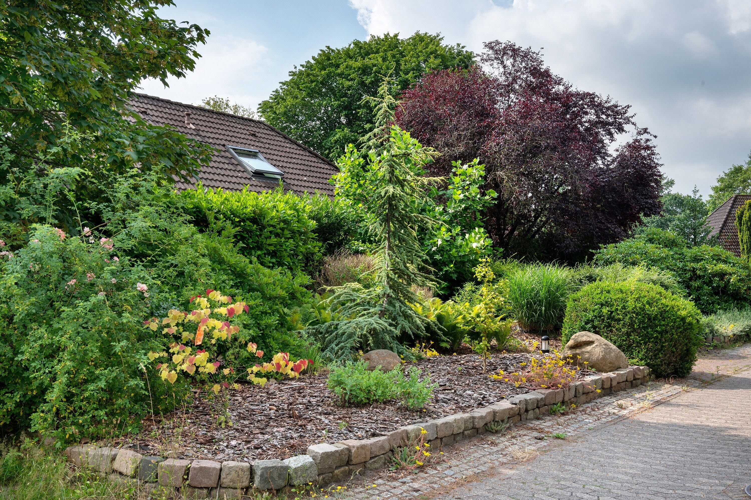Un jardín con diversas plantas y un borde de piedra.