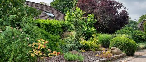 Un jardín con diversas plantas y un borde de piedra.