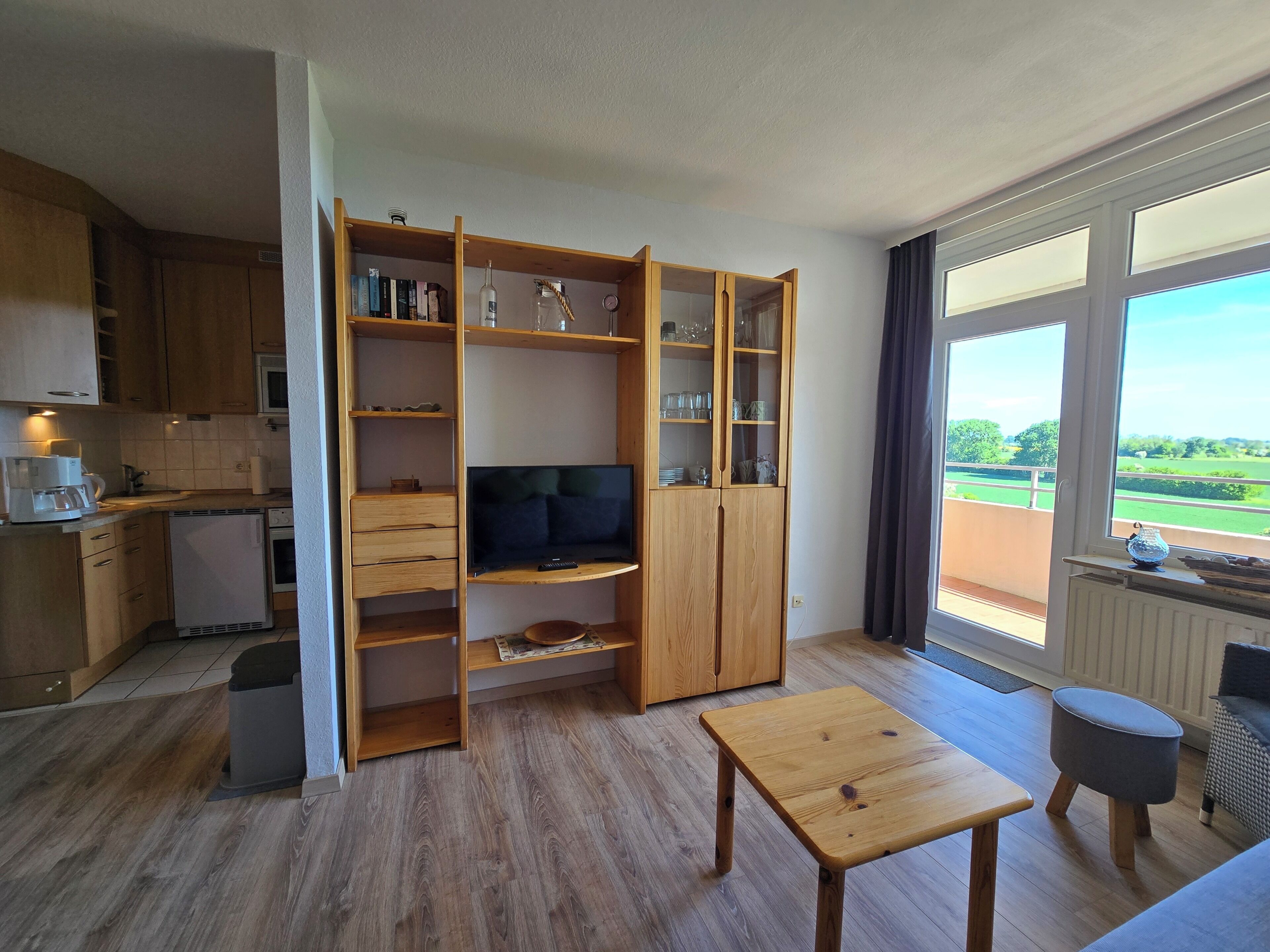 Ein kompakter Wohnbereich mit einer Küchenzeile, einem Fernseher, einer Holzvitrine und Blick durch ein großes Fenster.