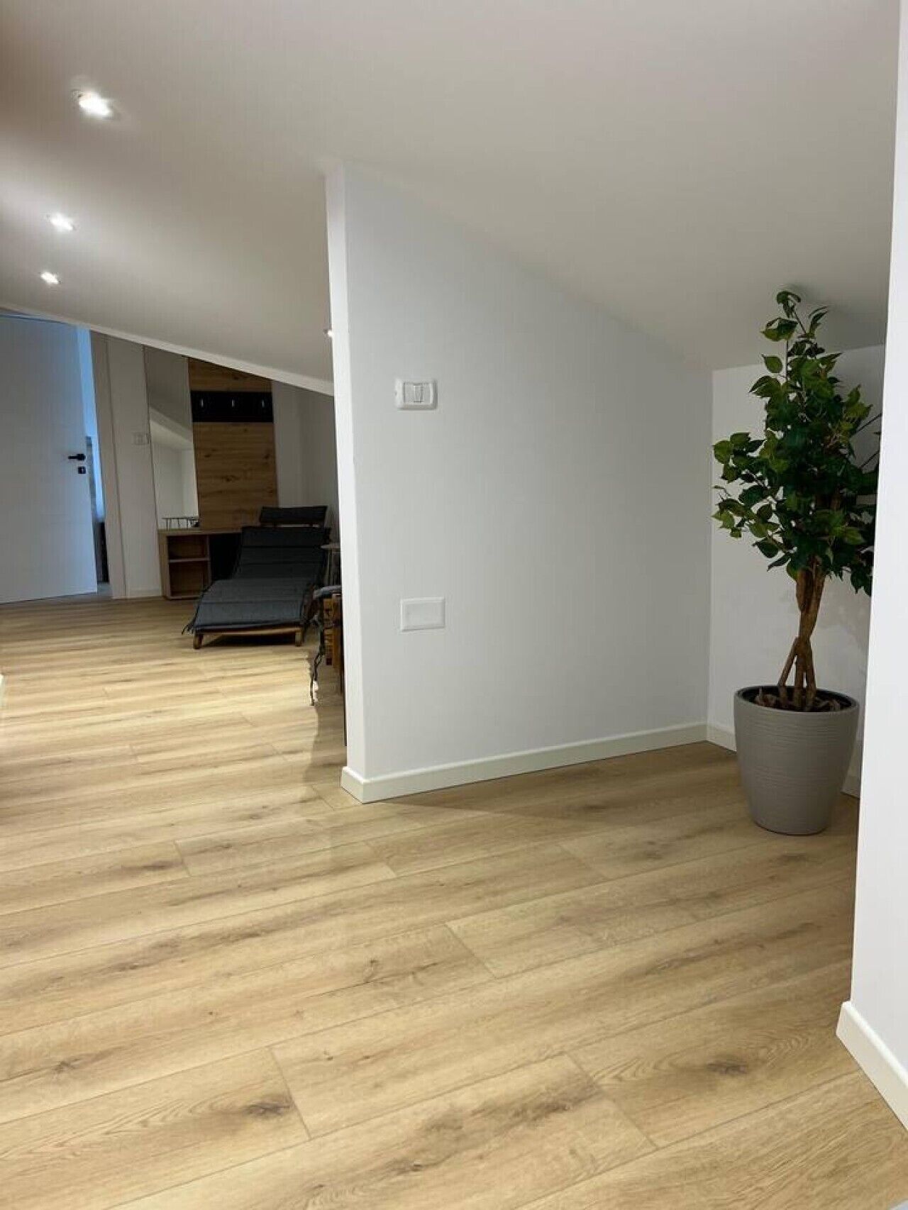 A room with a wooden floor, a potted plant, and a bed in the background.