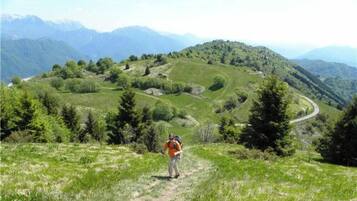Un randonneur sur un sentier herbeux, avec des montagnes en arrière-plan.