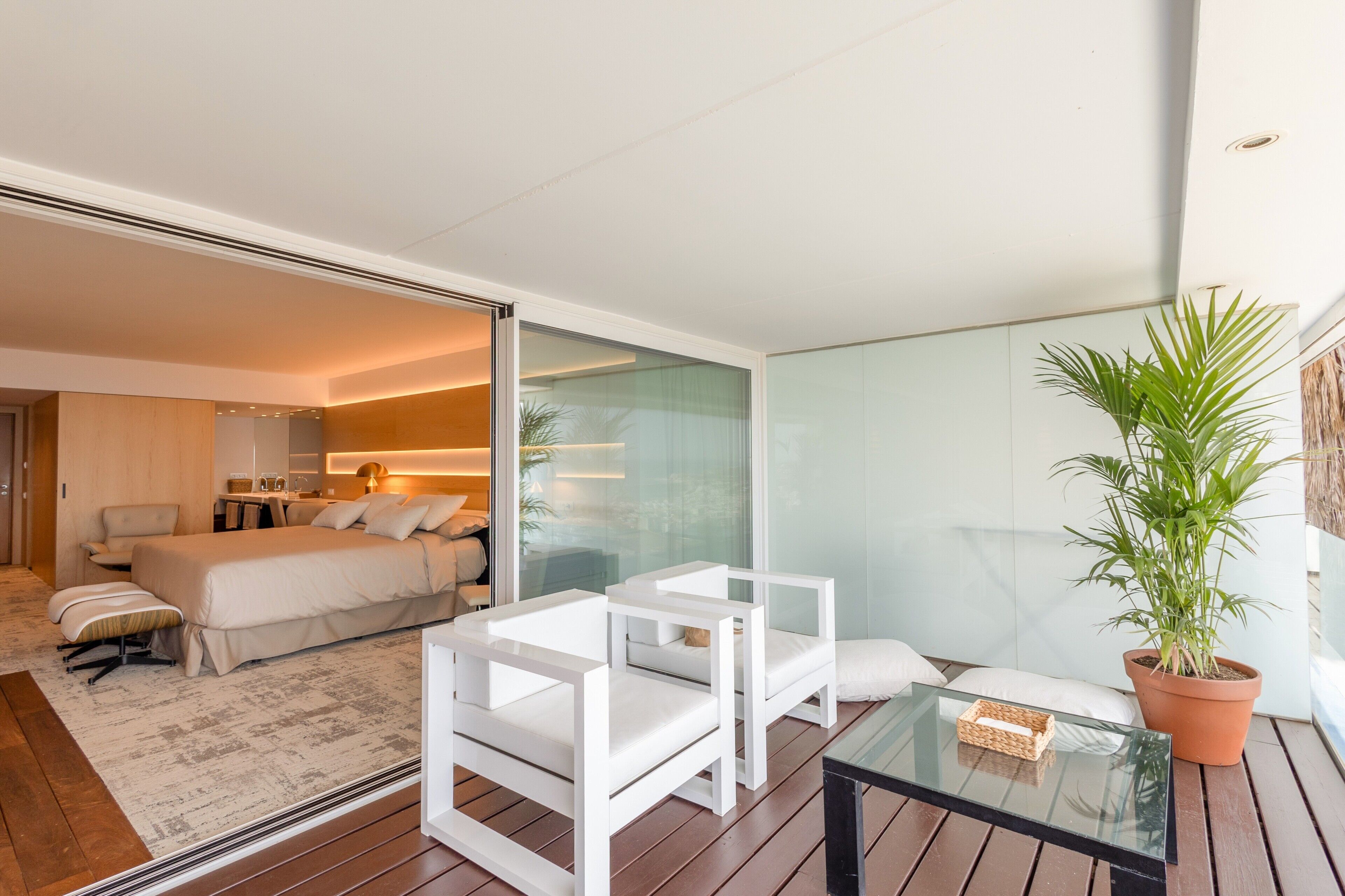 A modern hotel room with a bed, a sofa, a glass table, and a potted plant.