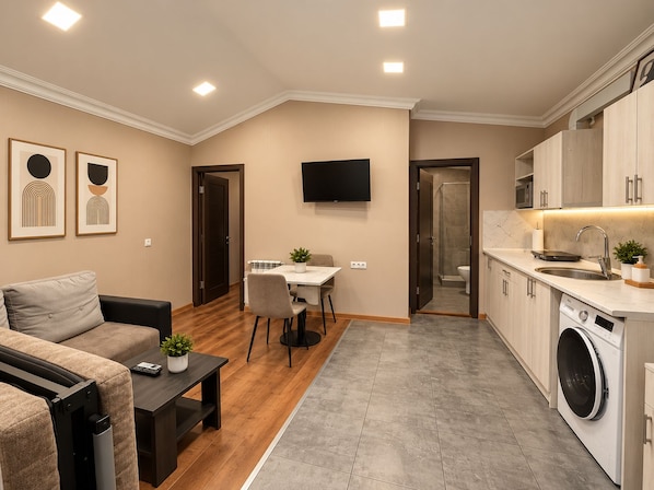 A compact living space with a sofa, a dining table, a TV, a kitchen with a washing machine, and a shower area.