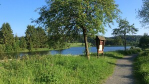 Un sentiero sterrato conduce a una struttura in legno presso un lago, circondato da vegetazione e alberi.