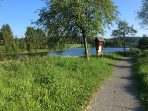 A gravel path leading to a wooden structure by a lake, surrounded by greenery and trees. - Pure nature - relaxation in a quiet vacation apartment in the middle of the Harz Nature Park (Clausthal-Zellerfeld)