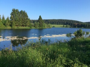 A lake surrounded by dense forest and grassy areas. - Pure nature - relaxation in a quiet vacation apartment in the middle of the Harz Nature Park (Clausthal-Zellerfeld)
