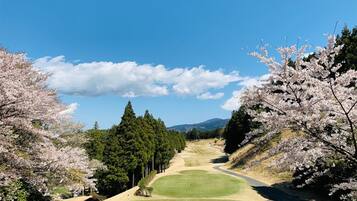 A golf course with a clear sky, surrounded by cherry blossom trees.