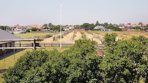 A vineyard with rows of grapevines, a wooden fence, and a clear sky. - Karrebaeksminde Apartments (Karrebæksminde)