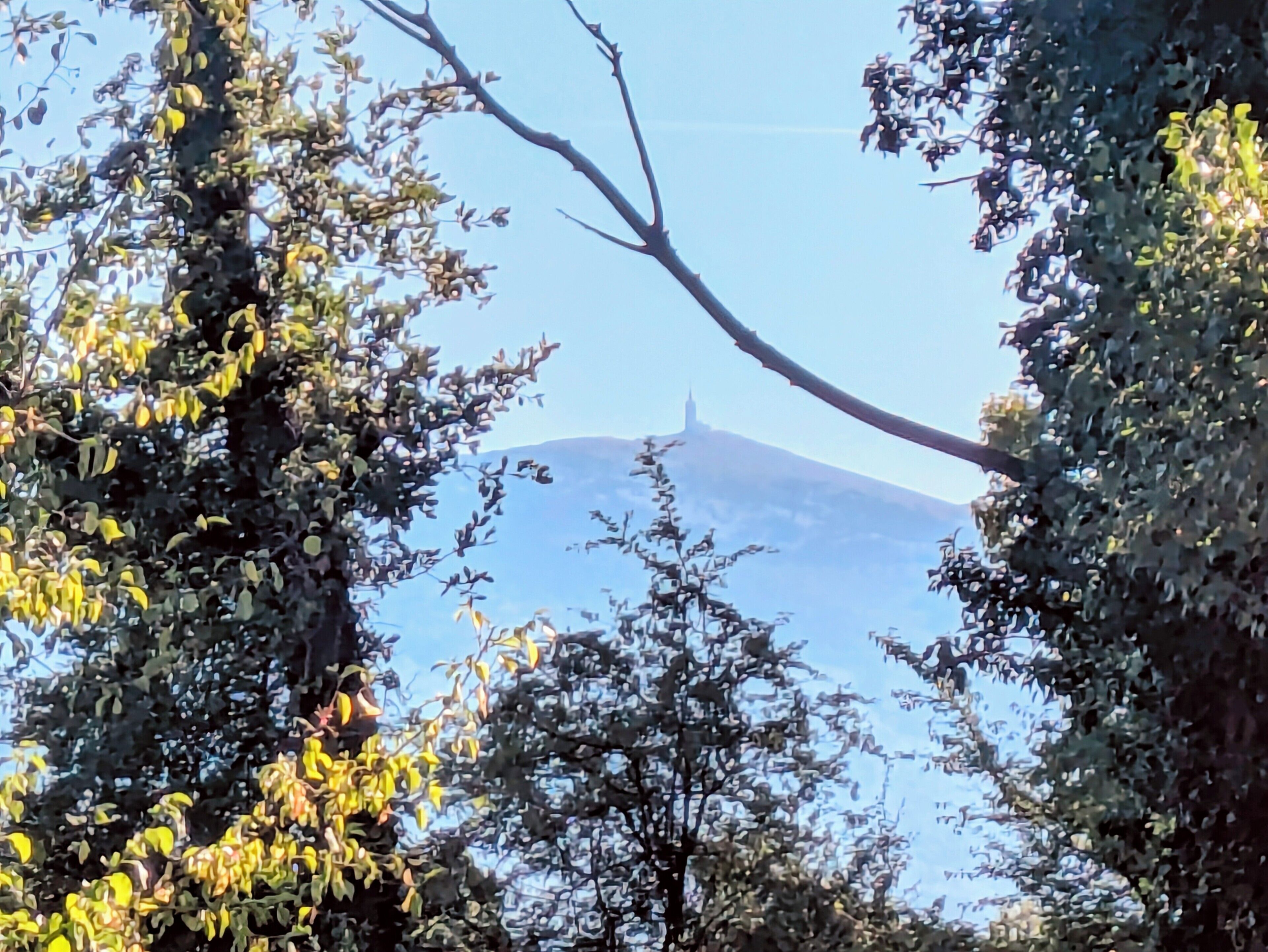 Eine von Bäumen gesäumte Aussicht mit einem Berg im Hintergrund.