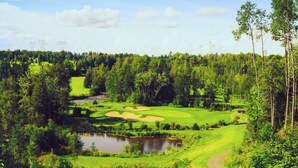 A golf course with a pond, surrounded by dense forest and power lines in the background.