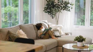 A child reading on a sofa in a room with large windows, a plant, and a small table.
