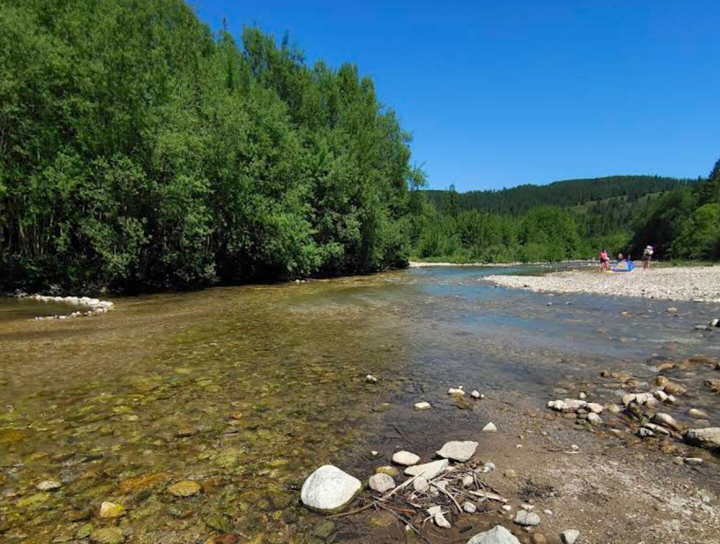 A clear river with rocks and trees, a pebbled shore, and people in the background.