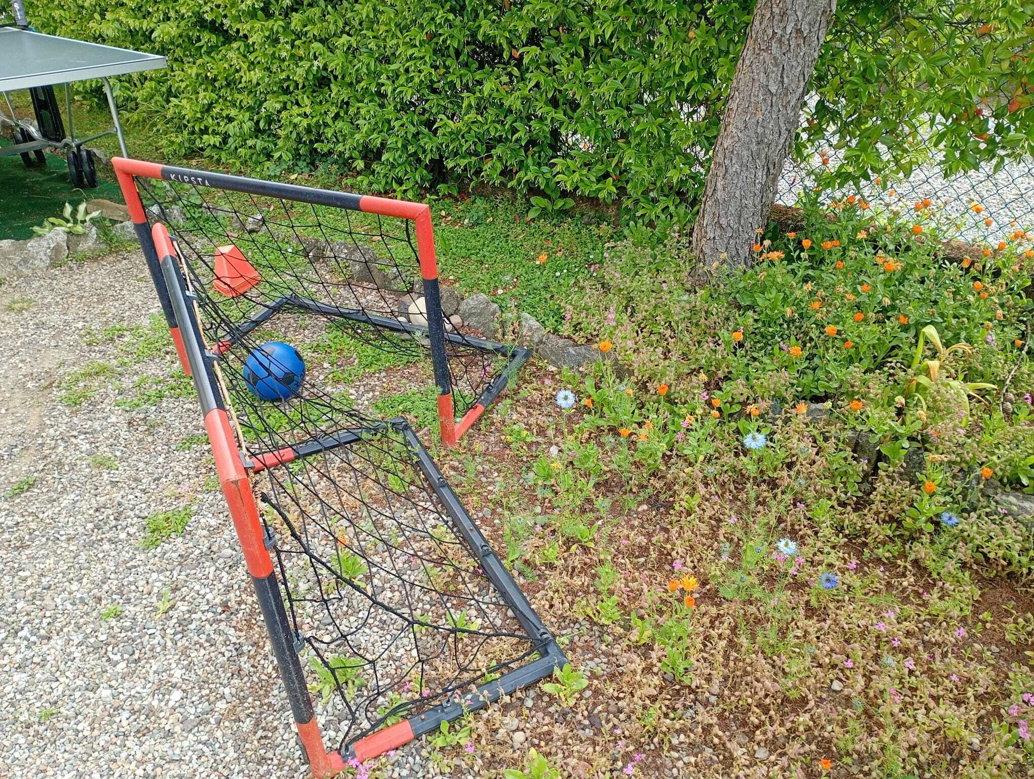 Una porta da calcio in un giardino con una rete, un pallone blu e un albero sullo sfondo.