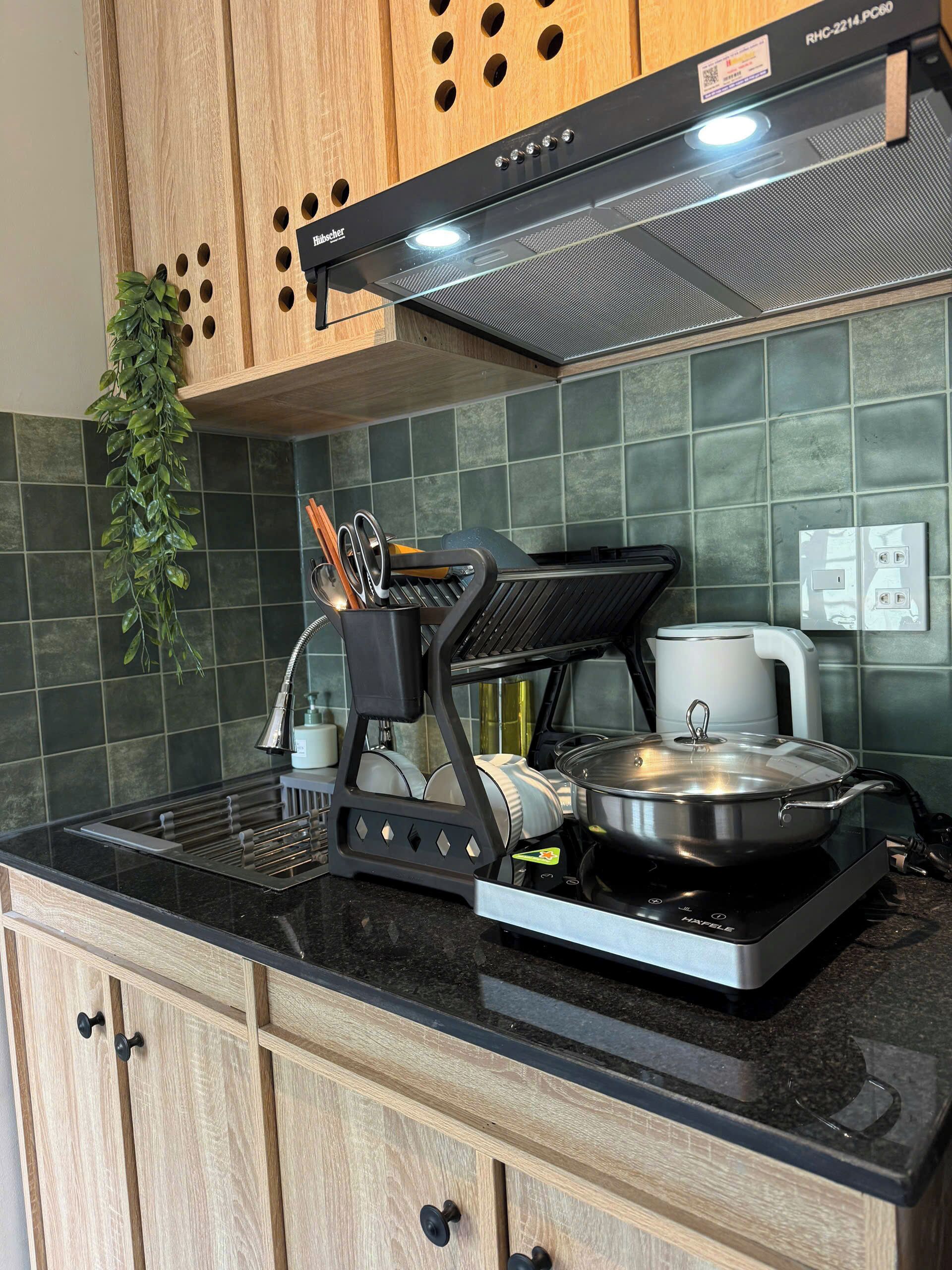 A kitchen with a built-in stove, a coffee maker, and a hanging plant.