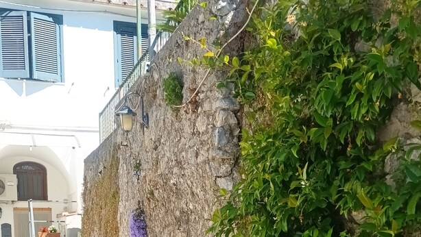 Un mur de pierre orné de verdure, un chemin en béton et, au fond, un bâtiment doté de balcons.