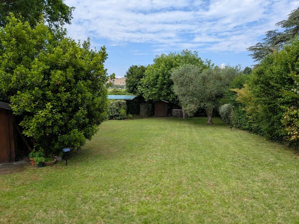 A well-maintained grassy yard with a variety of trees and shrubs, a small shed, and a building with a green roof.