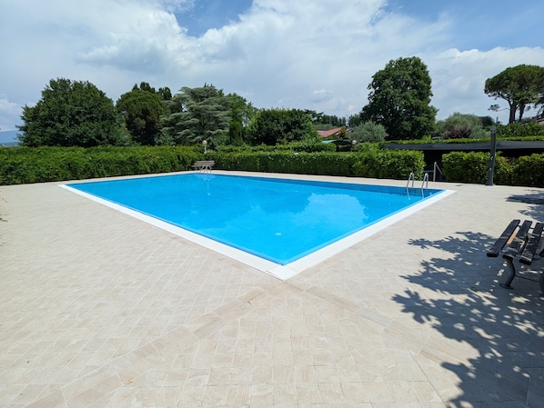 Una piscina rectangular con borde de azulejos, rodeada de follaje y árboles.