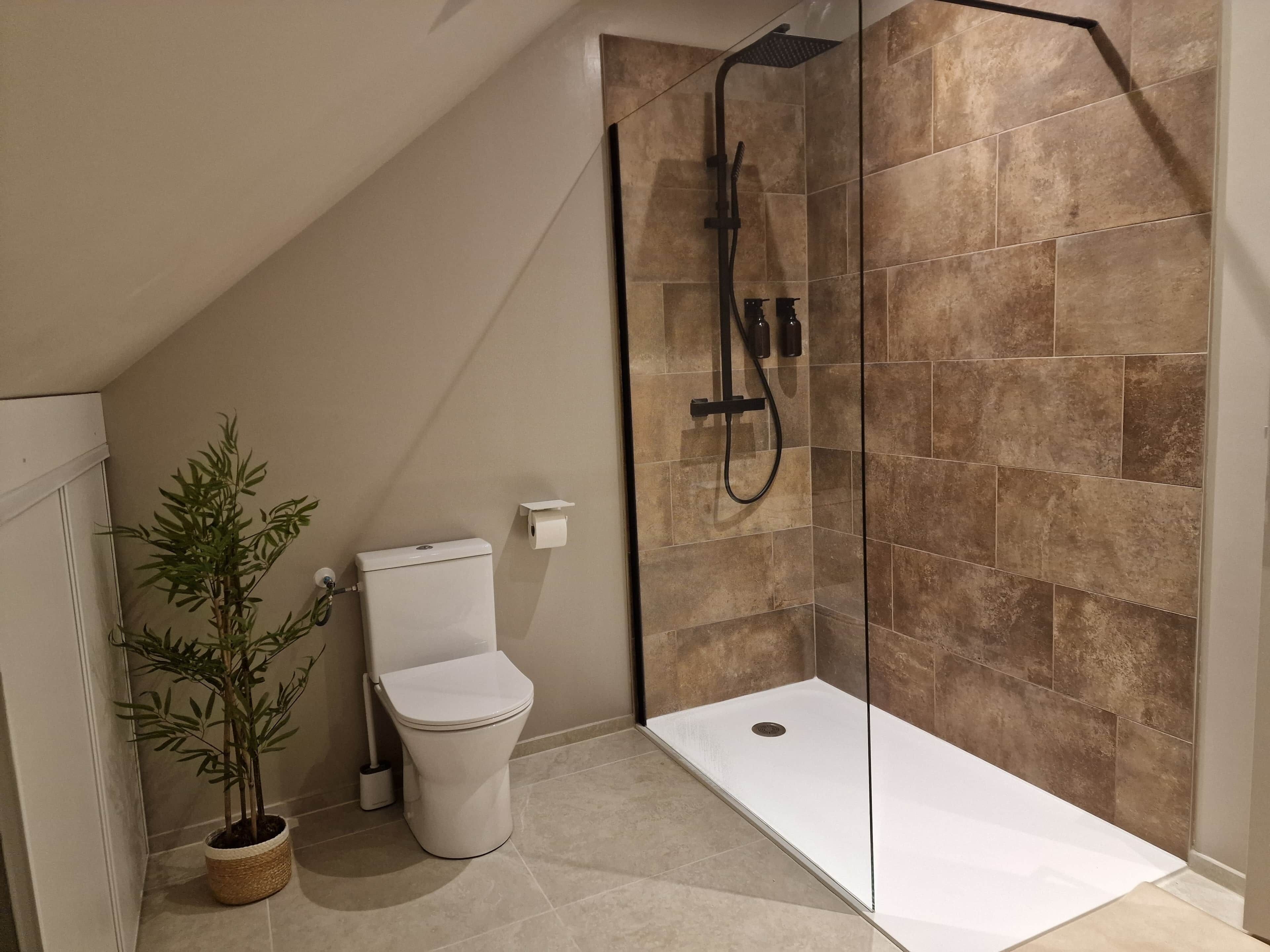 Hair dryer, towels, soap, toilet paper