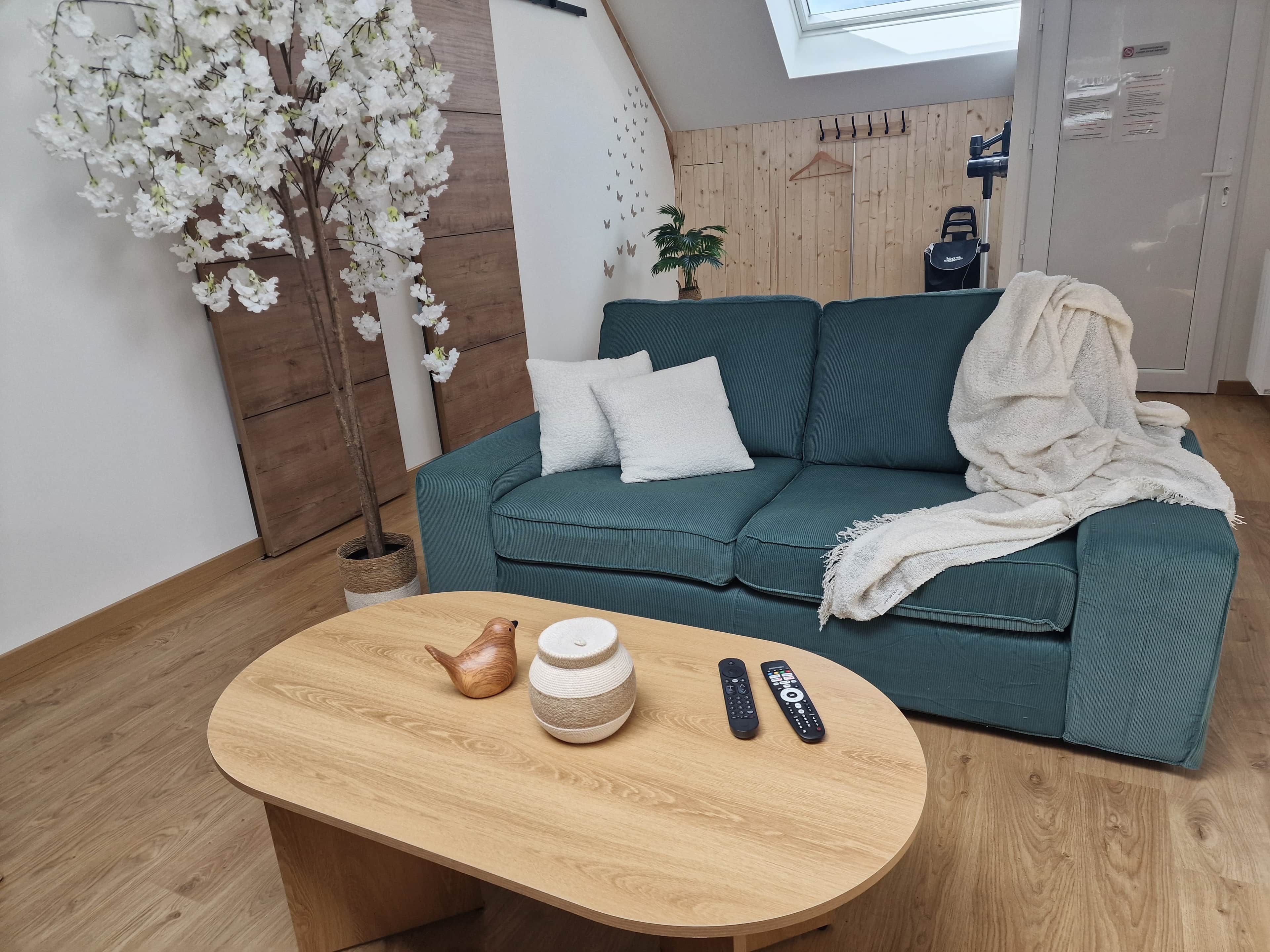 A modern living room with a teal sofa, a round wooden coffee table, and a white orchid plant.