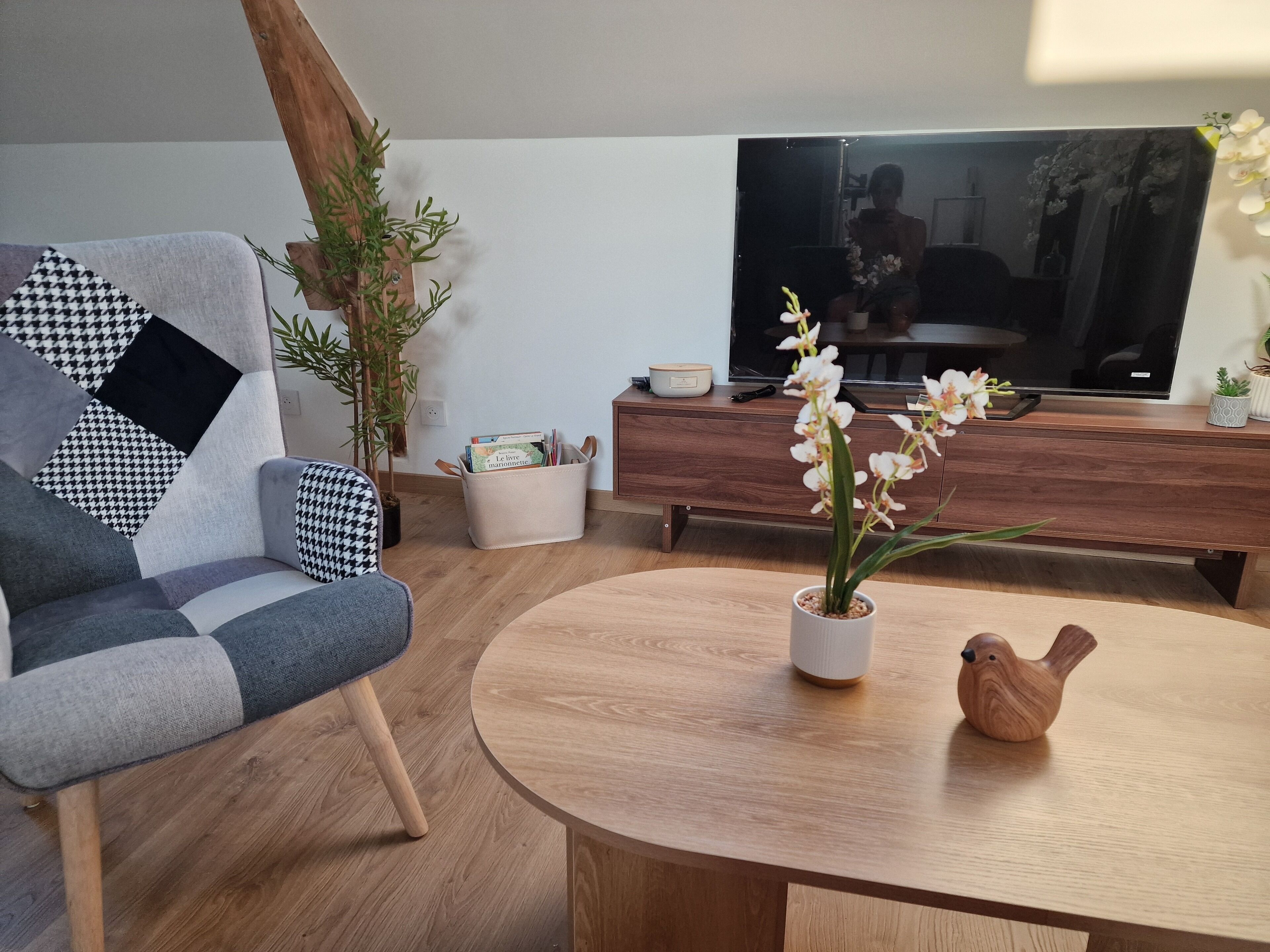 A living room with a sofa, a coffee table, a TV, and decorative plants.