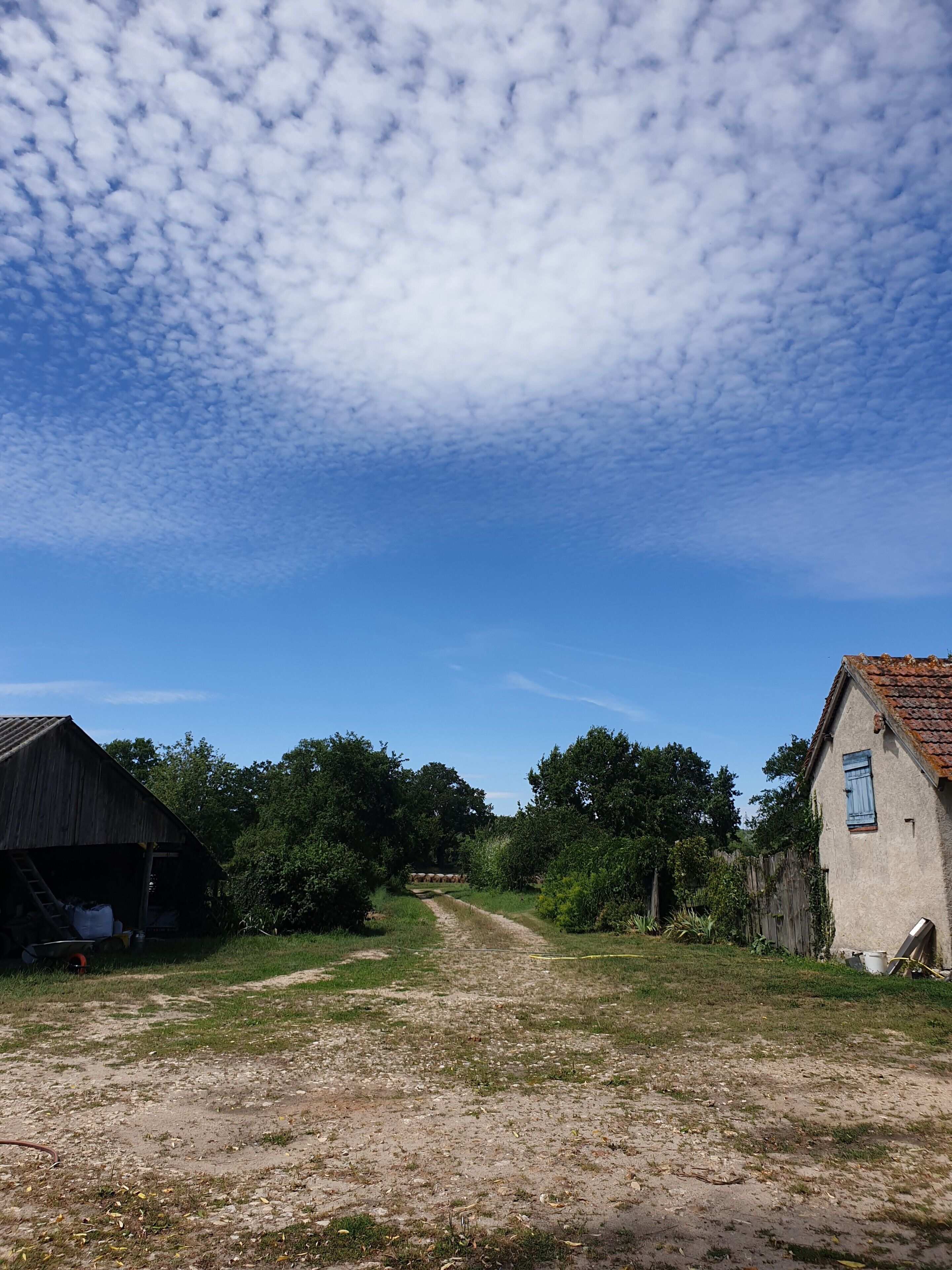 A rural landscape with a dirt path leading to two buildings, one with a wooden roof and the other with a tiled roof.