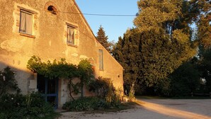 A rustic building with a dirt driveway, a small garden with plants and flowers, and a large tree in the background.