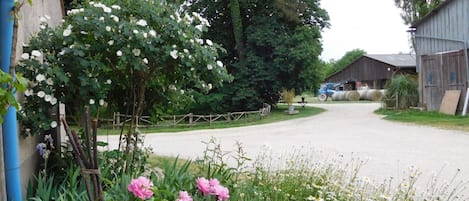 Ulkoalueet