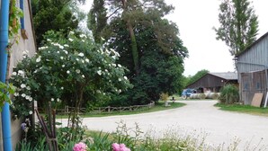 Un chemin de campagne menant à une ferme, avec une grange, une clôture et des plantes en fleurs.