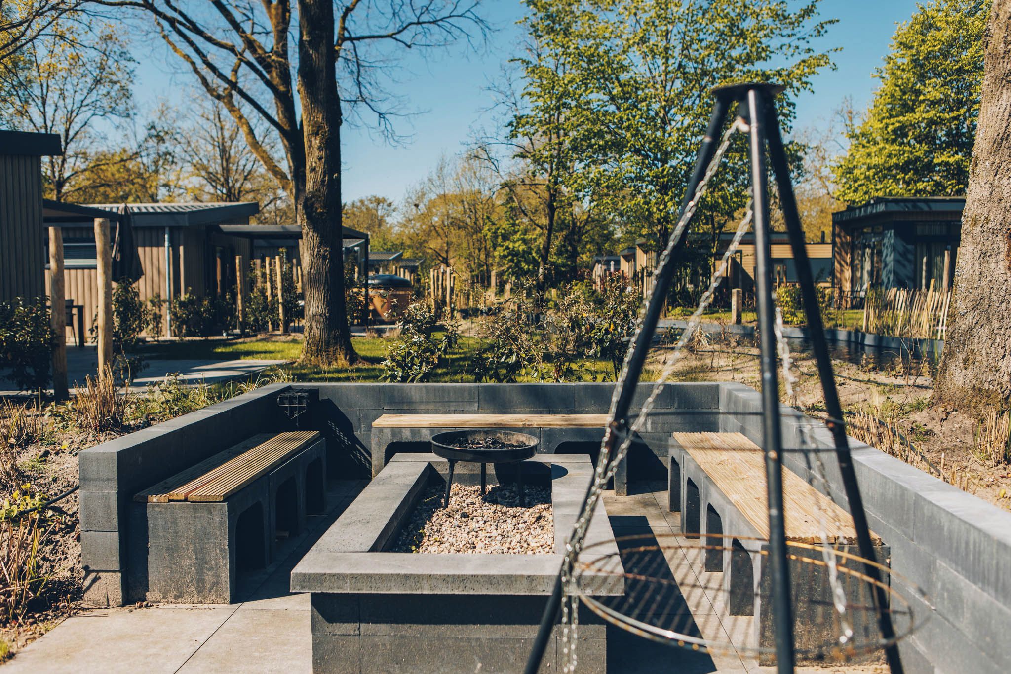 Een terras met beton, een vuurkorf, omgeven door bomen en een gebouw op de achtergrond.