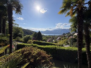 Paesaggio rigoglioso con cielo sereno, uno specchio d'acqua e un gruppo di case.