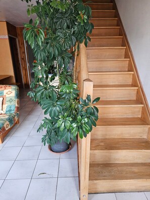 A staircase with wooden steps and a potted plant on the left. - Holiday Home “Gîte 851 in the Lake District” with Wi-Fi (Bonlieu)