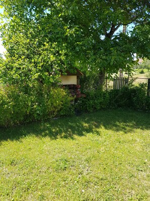 A garden with a wooden structure, possibly a shed, surrounded by dense foliage and a grassy area. - Holiday Home “Gîte 851 in the Lake District” with Wi-Fi (Bonlieu)