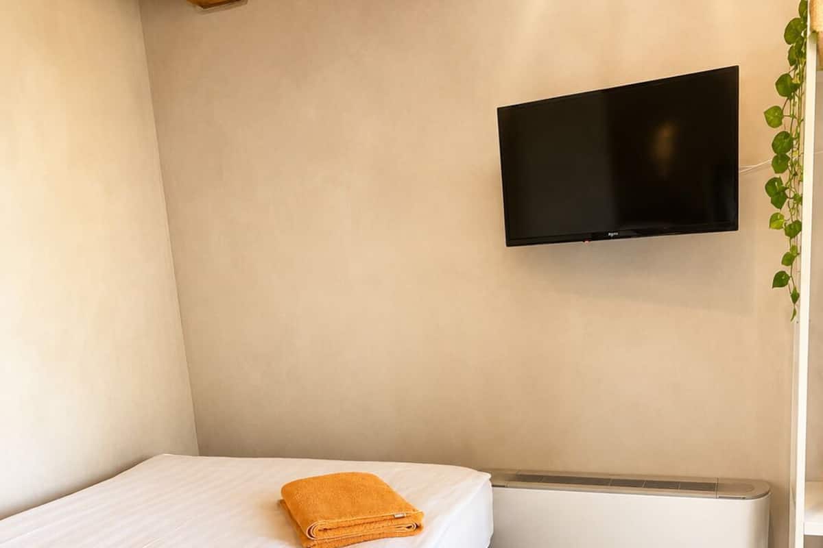 Un dormitorio con una cama, televisor montado en la pared, radiador y una planta.