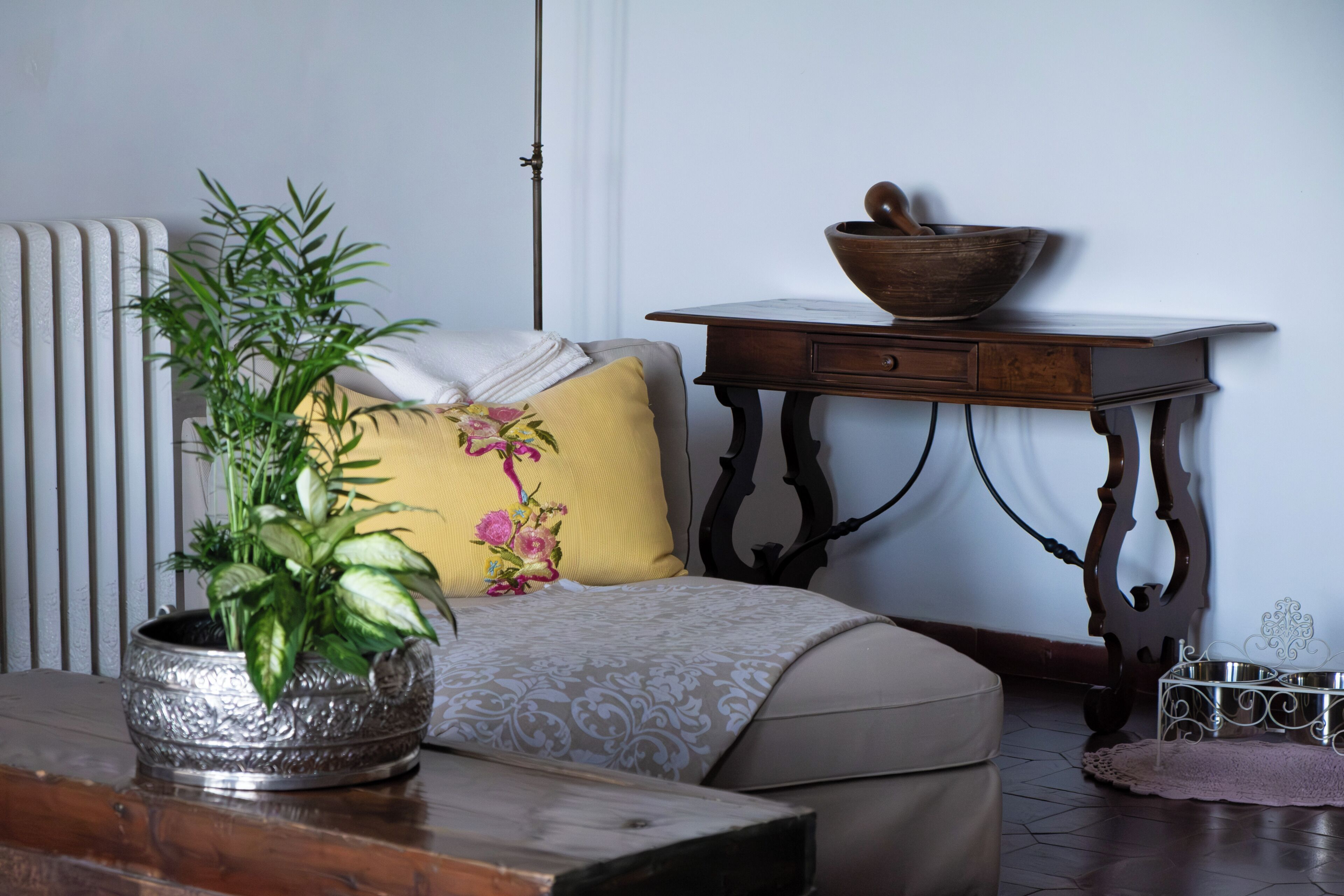 Une pièce avec un radiateur, une table en bois sur laquelle se trouve un bol, une plante en pot, un canapé recouvert d’un plaid à motifs et un bol en métal pour animaux de compagnie.