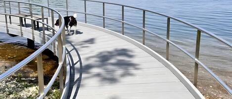 A wooden boardwalk by a river with metal railings, surrounded by greenery.
