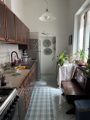 Une cuisine avec des armoires en bois, un réfrigérateur en acier inoxydable, un évier et une cuisinière. Deux assiettes décoratives sont accrochées au mur, un luminaire suspendu éclaire la pièce, et une fenêtre laisse entrer la lumière, avec des plantes posées sur le rebord.