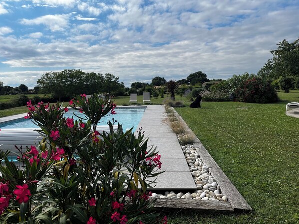 Una piscina con borde de piedra, rodeada de césped y diversas plantas.