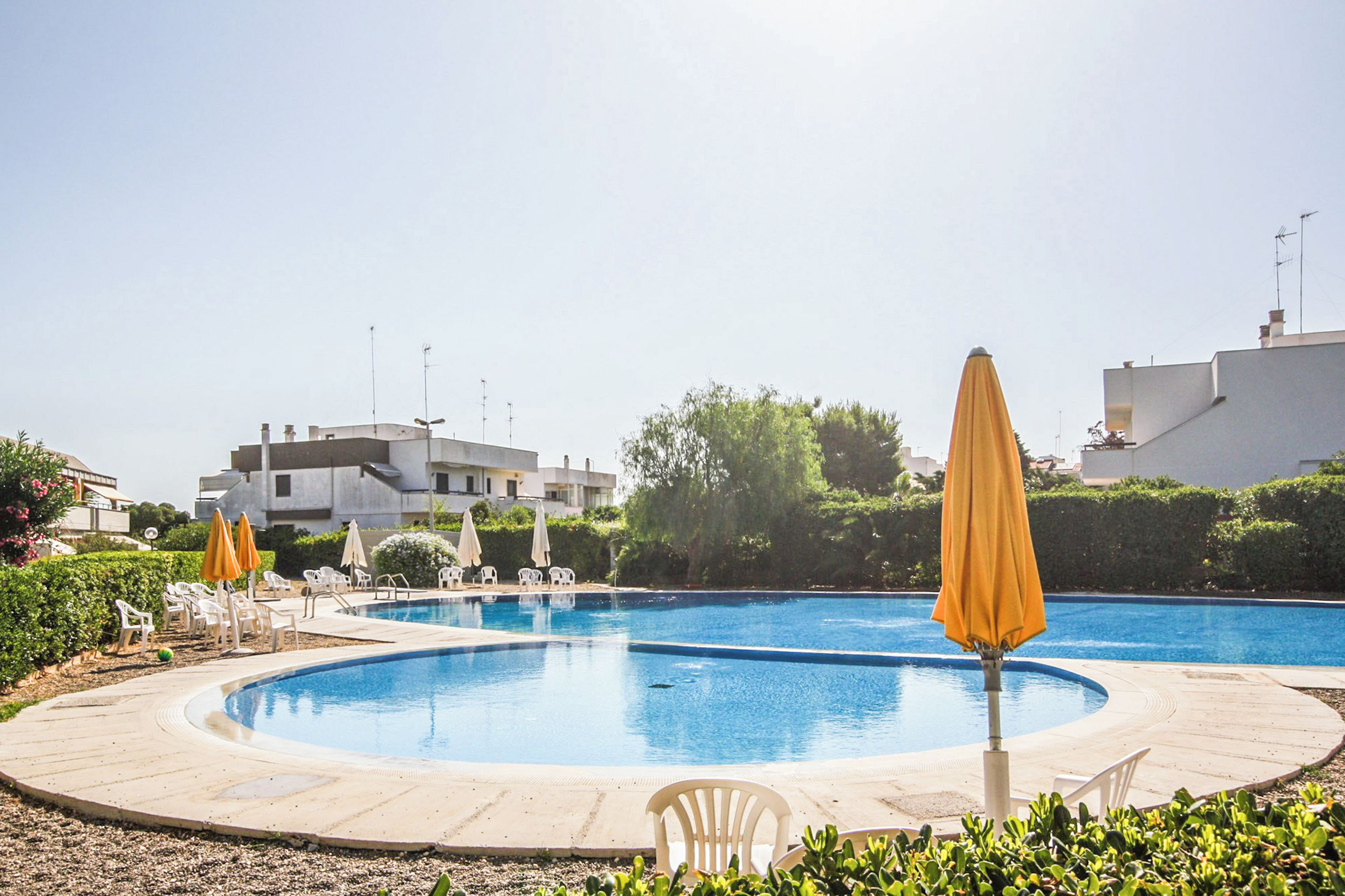 A swimming pool with a circular edge, surrounded by lounge chairs and umbrellas, with buildings in the background.