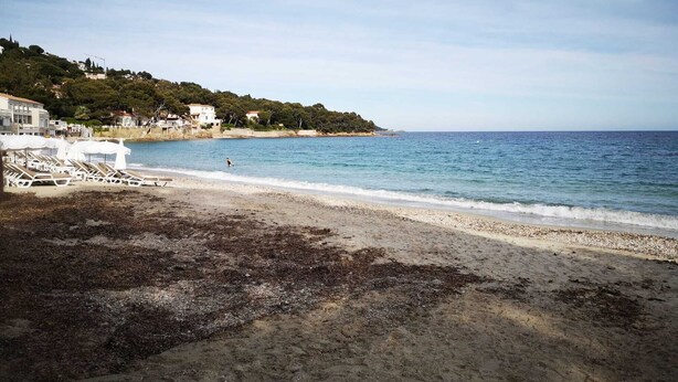 A beach with a row of white sun loungers and umbrellas, a sandy shore, and a view of the sea and a hillside with buildings. - Gite l'écurie, in a restored farmhouse, fully equipped with pellet stove (Surtainville)