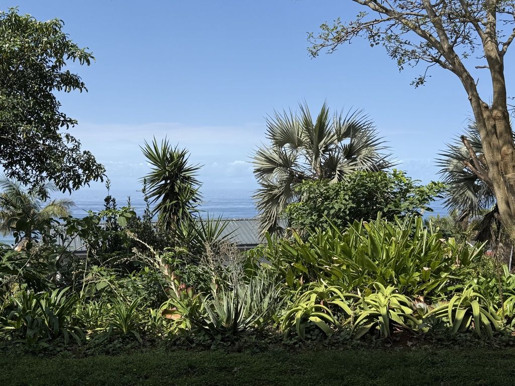 Un jardín con diversas plantas tropicales y vista al océano.