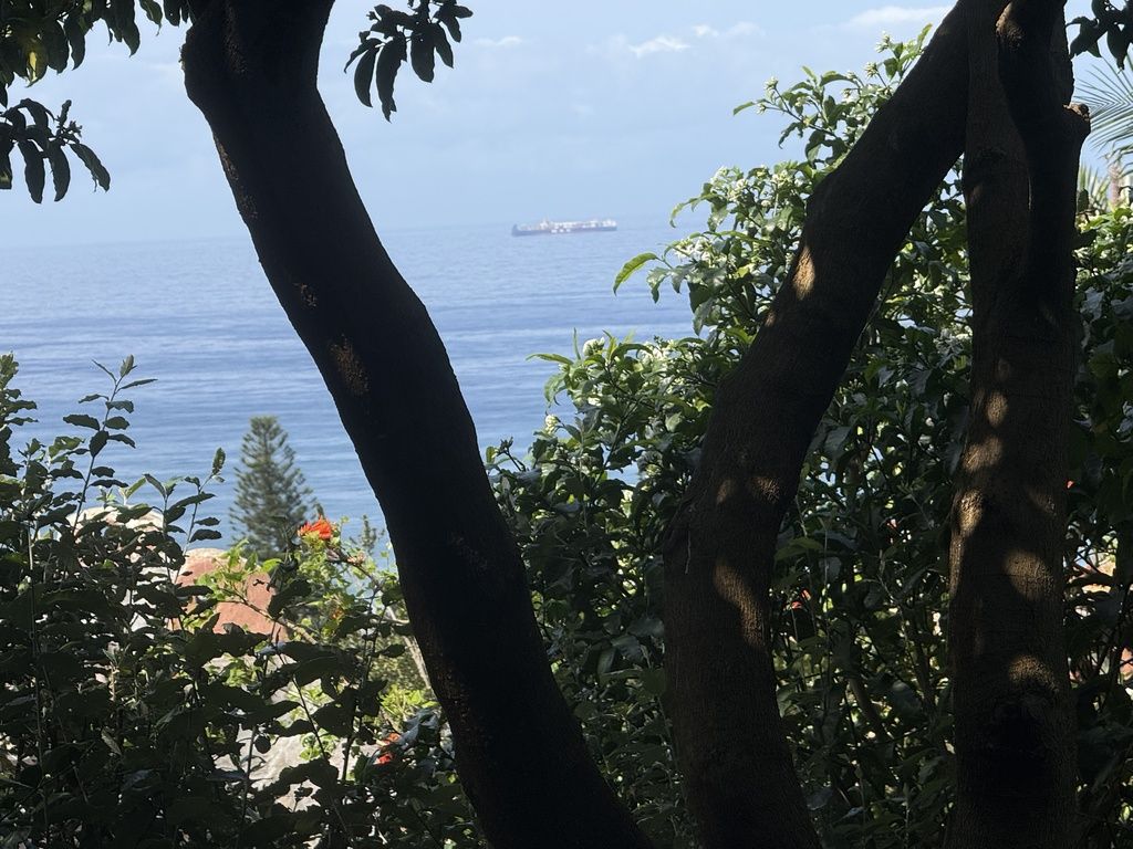 A view of a ship on the water with trees in the foreground.
