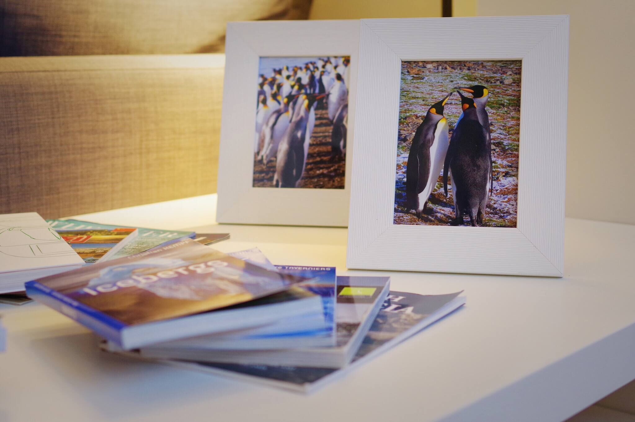 Ein gerahmtes Foto von Pinguinen auf einer weißen Oberfläche zusammen mit Büchern und einem Notizbuch.