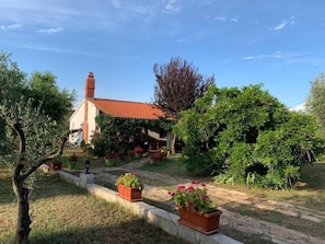 Ein Haus mit rotem Ziegeldach, umgeben von einem Garten mit Kübelpflanzen und einem Weg.