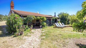 A house with a tiled roof, a chimney, a patio with a table and chairs, and a garden with potted plants and a pathway. - Holiday Home Villa Le Punte (Rovinj)