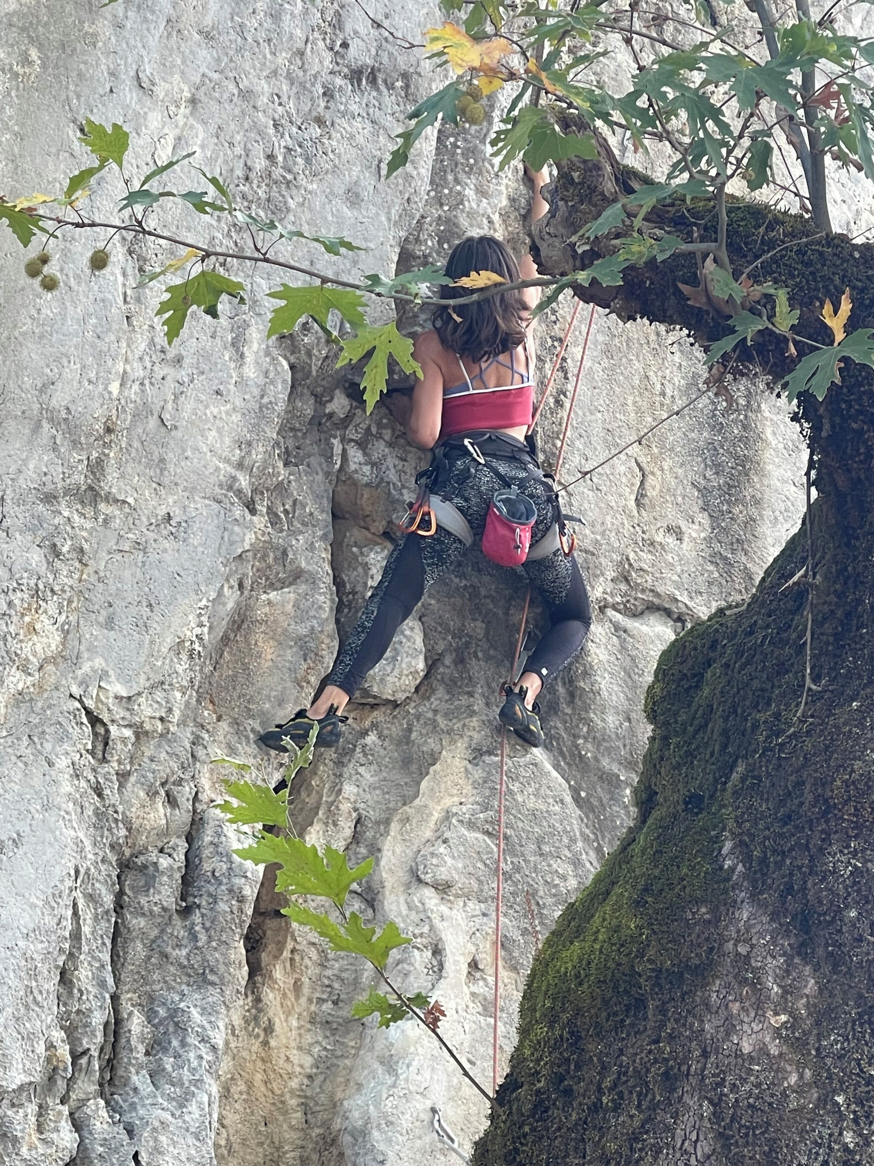 Una persona escalando una pared rocosa.
