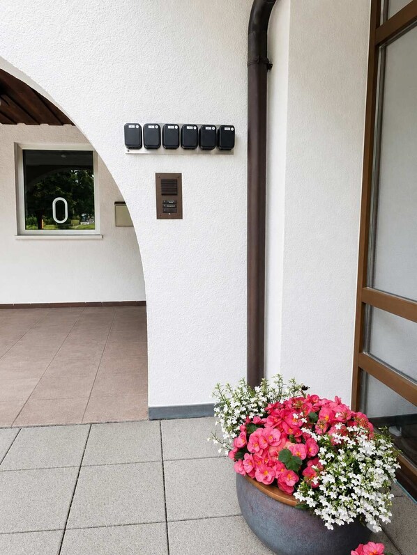A building exterior with a white wall, a window with a number '0', a flower pot with pink and white flowers, and a black pipe.