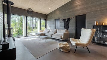 Villa, 4 Bedrooms, Sauna, Slope side | Living area | 60-inch TV with cable channels, fireplace