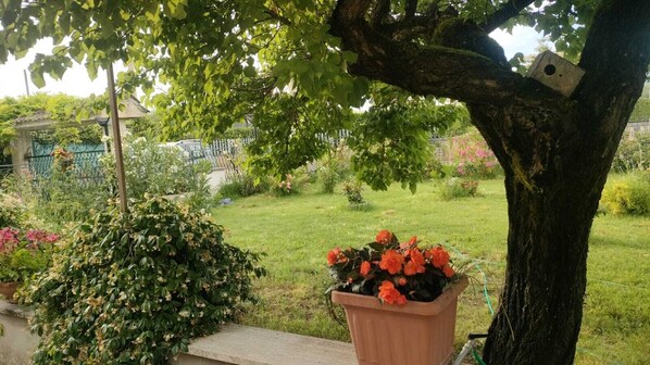 Un jardin avec un arbre, un banc et un jardinier avec des fleurs.