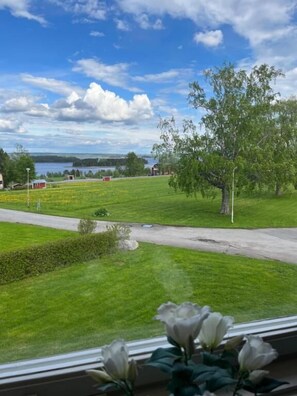 Vista desde una ventana con un arreglo floral, un campo cubierto de hierba, una carretera y un lago al fondo.